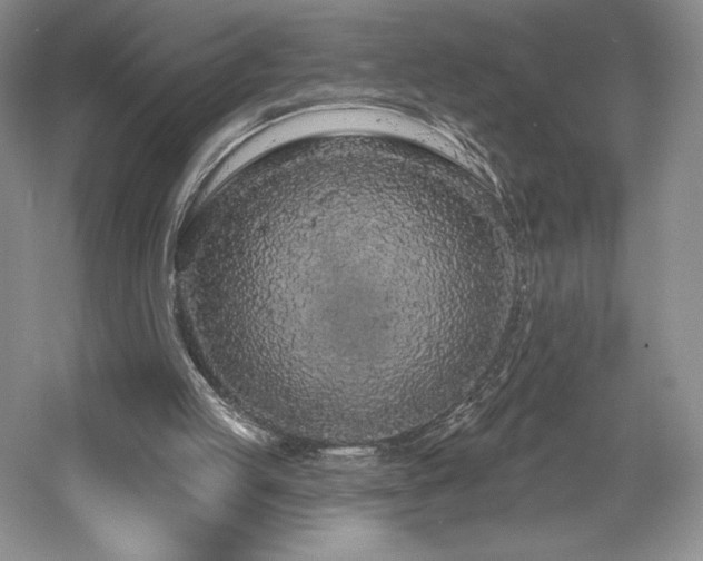 X0000059790053200510211128