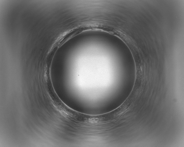 X0000059790064200510211128