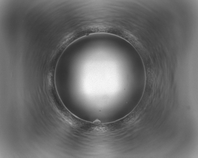 X0000059790071200510211128