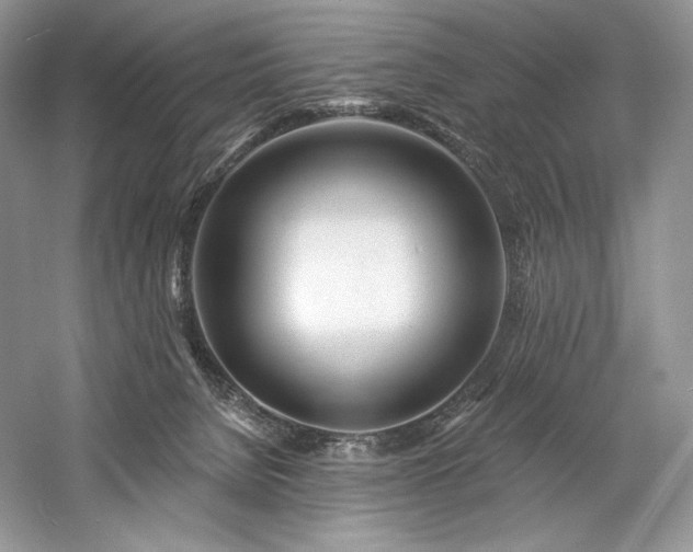 X0000059790080200510211128