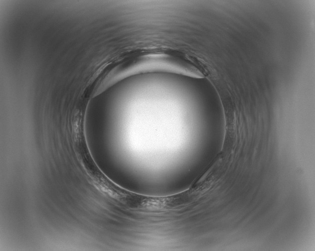 X0000059790084200510211128