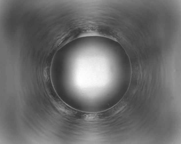 X0000059790088200510211129