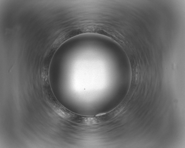 X0000059790091200510211129