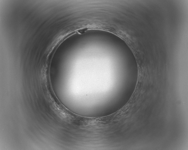 X0000059790098200510211128