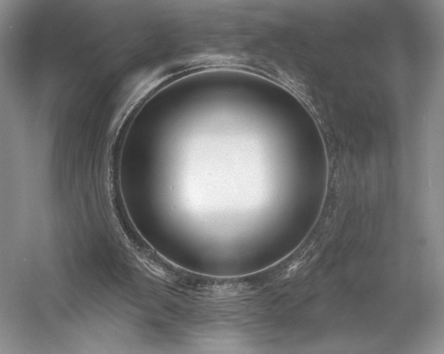 X0000059790103200510211128