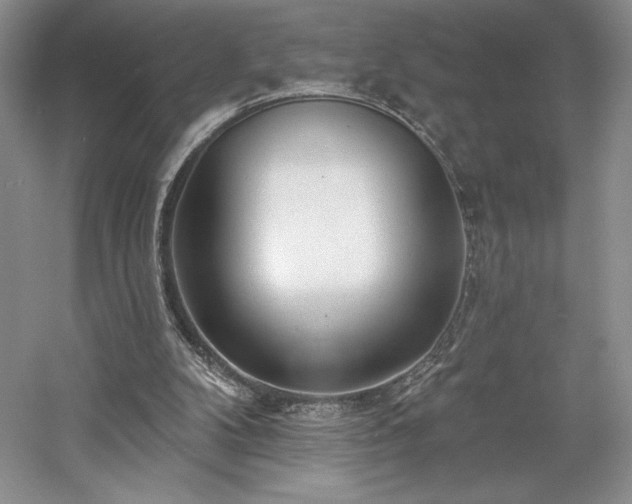 X0000059790104200510211128