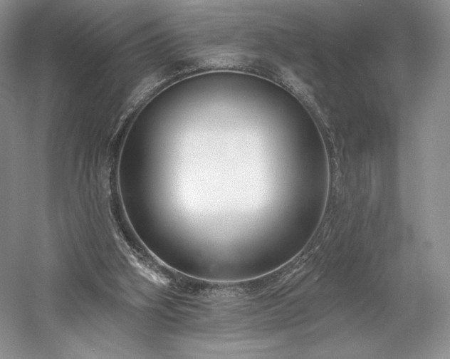 X0000059790106200510211128