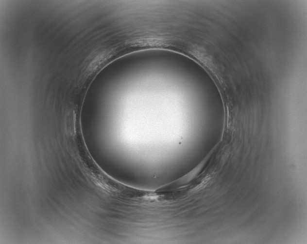 X0000059790109200510211128