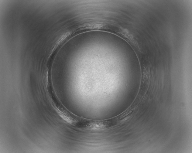 X0000059790110200510211128