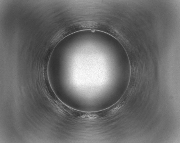 X0000059790117200510211128