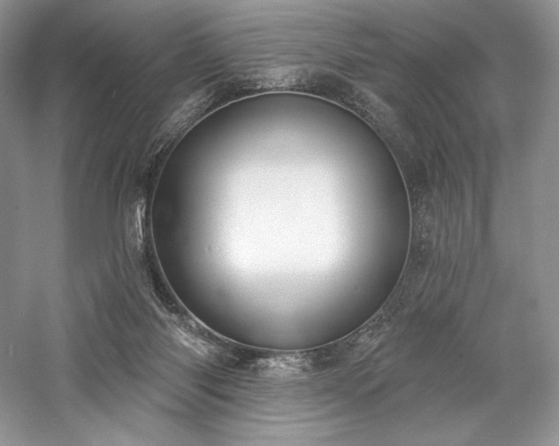 X0000059790118200510211127