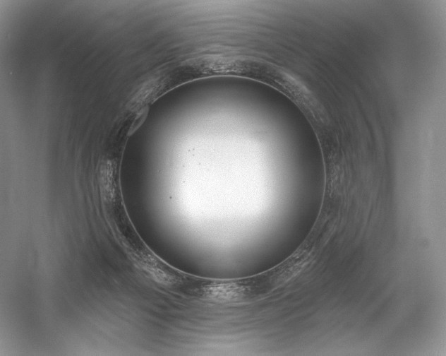 X0000059790121200510211127