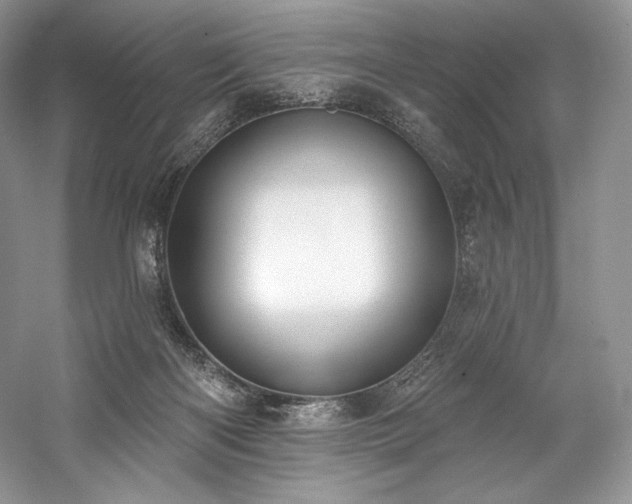 X0000059790122200510211127