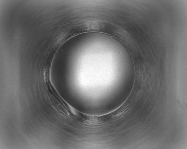 X0000059790123200510211127
