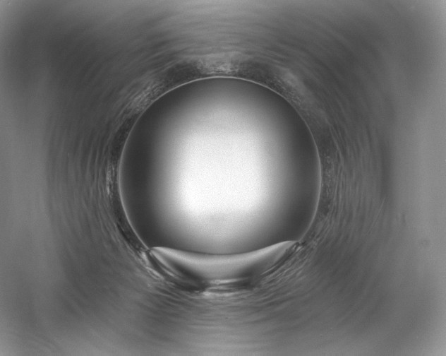 X0000059790125200510211127