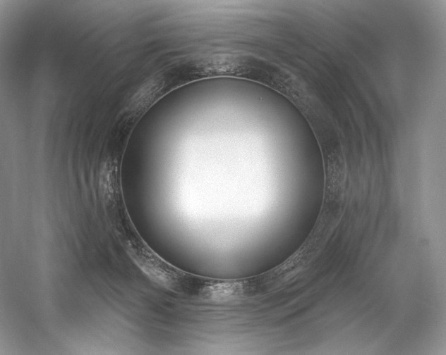 X0000059790126200510211127