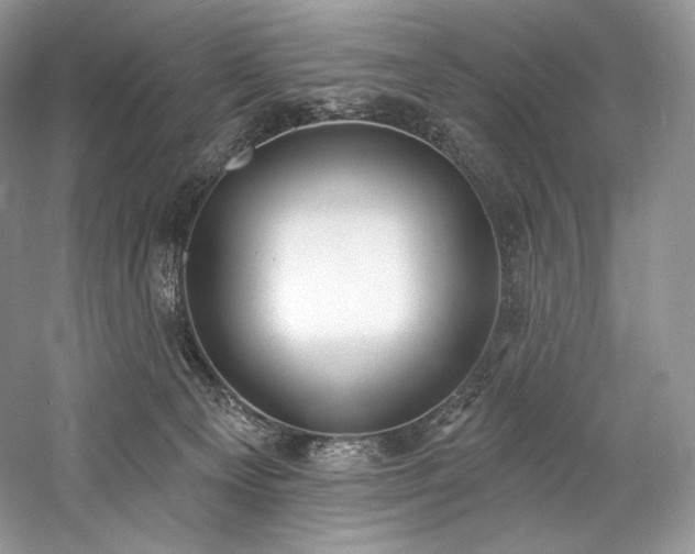 X0000059790129200510211127