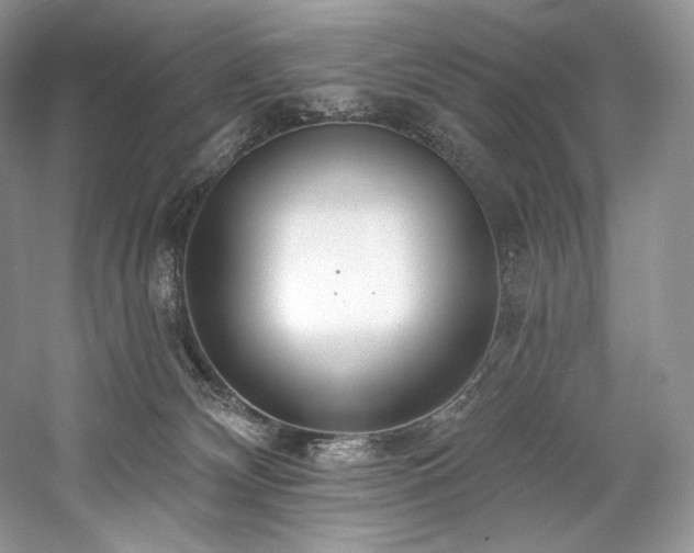X0000059790132200510211127