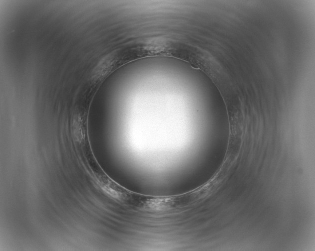 X0000059790136200510211127