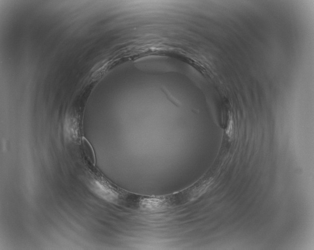 X0000059790139200510211127