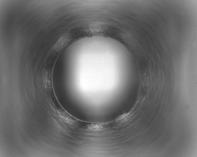 X0000059790140200510211127