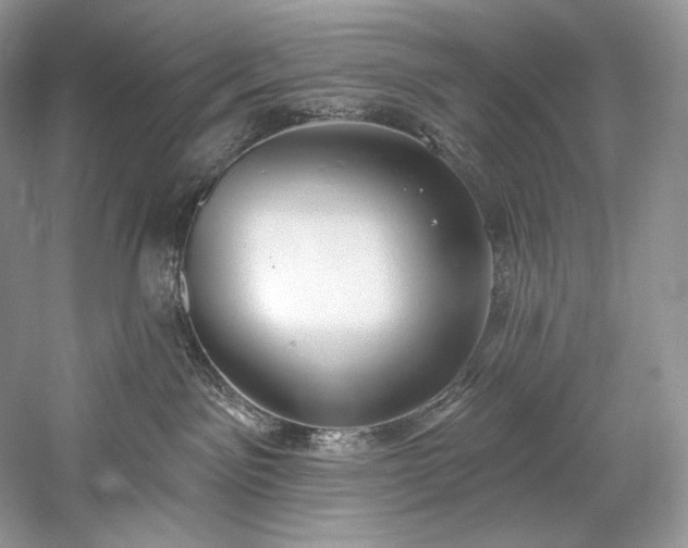 X0000059790141200510211127
