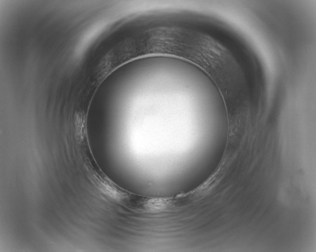 X0000059790142200510211127
