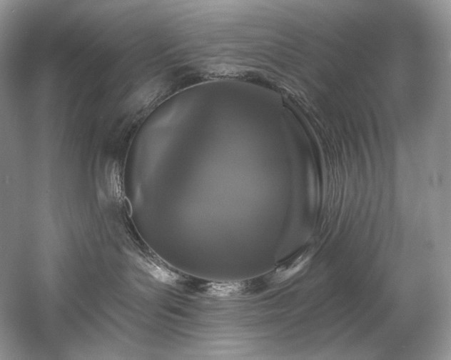 X0000059790143200510211127