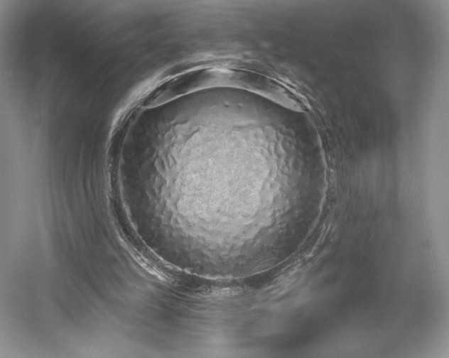 X0000059790149200510211126