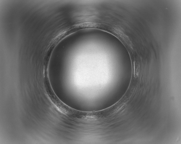 X0000059790157200510211126