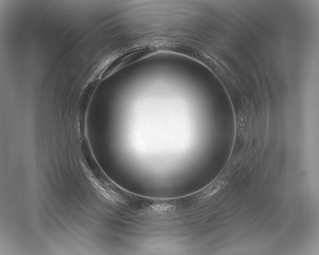 X0000059790158200510211126