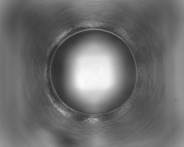 X0000059790159200510211126