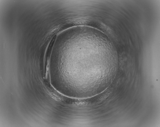 X0000059790161200510211127