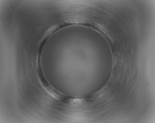 X0000059790163200510211127
