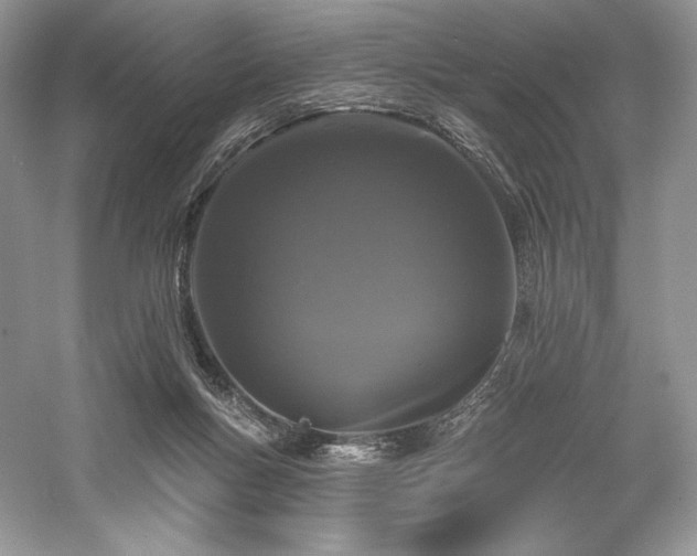 X0000059790167200510211127