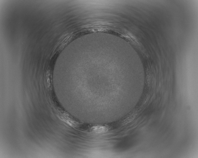 X0000059790169200510211127