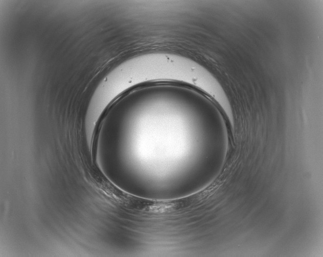 X0000059790172200510211127