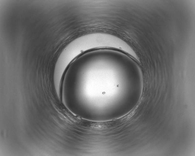 X0000059790174200510211127