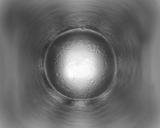 X0000059790182200510211127