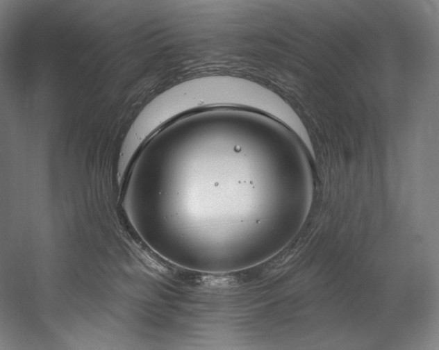 X0000059790185200510211127