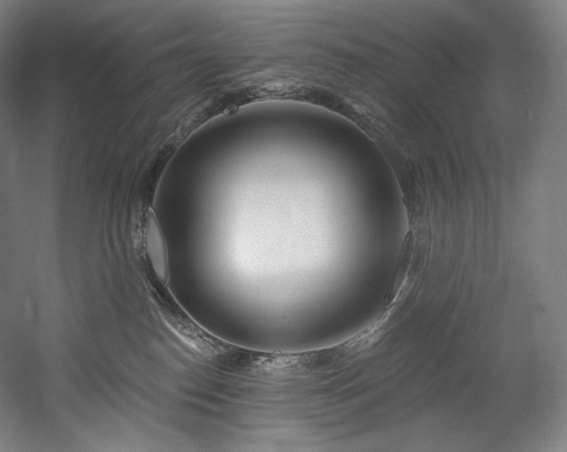 X0000059790186200510211127