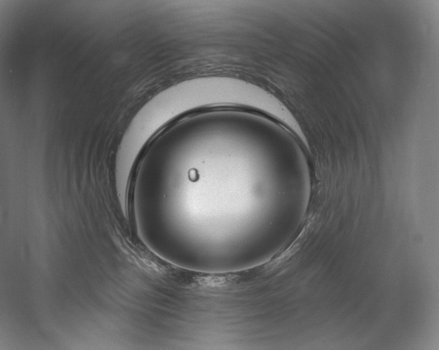 X0000059790187200510211127