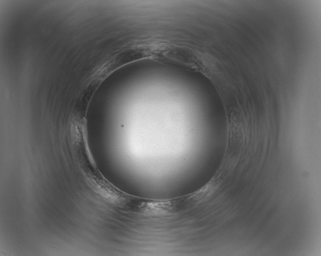 X0000059790188200510211127