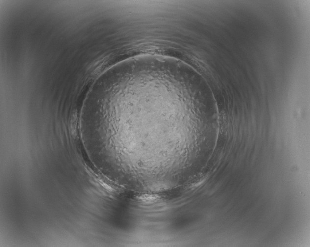 X0000059790189200510211127