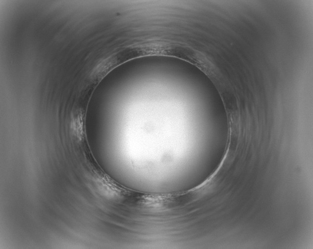 X0000059790190200510211127