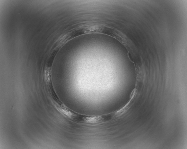 X0000059790191200510211127