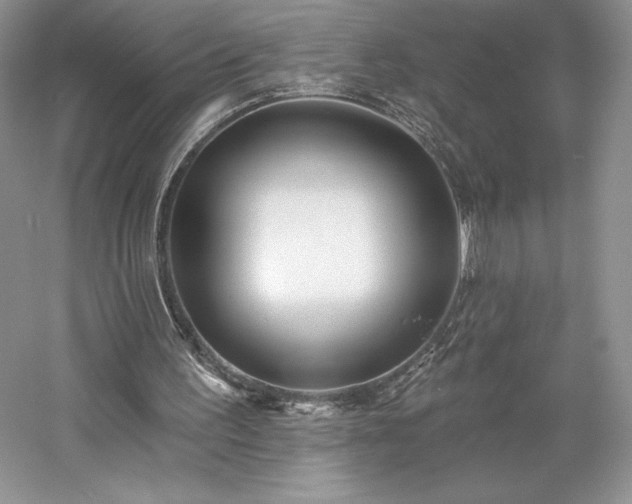 X0000059790195200510211126