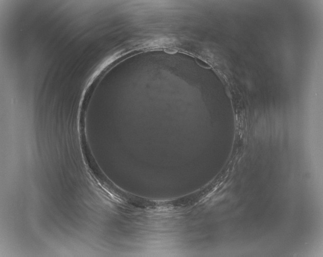 X0000059790196200510211126