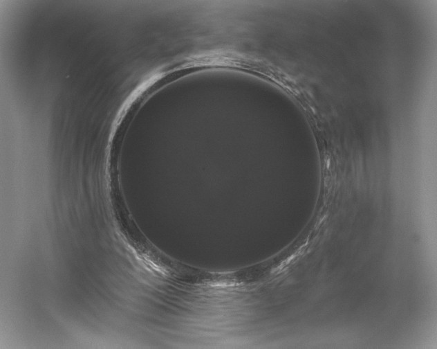 X0000059790200200510211126