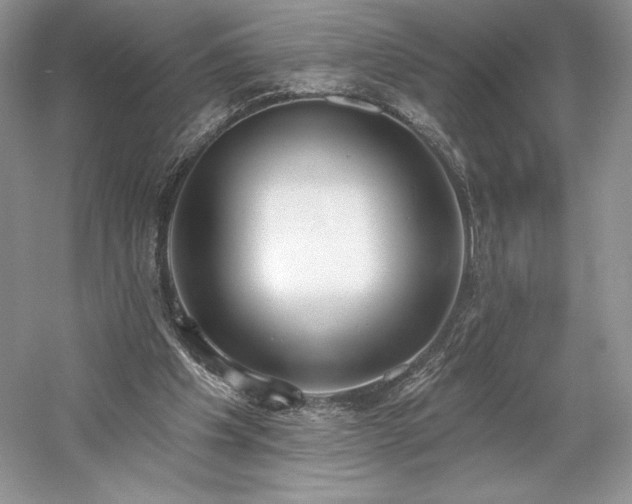 X0000059790201200510211126
